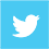 Twitter Colored Icon